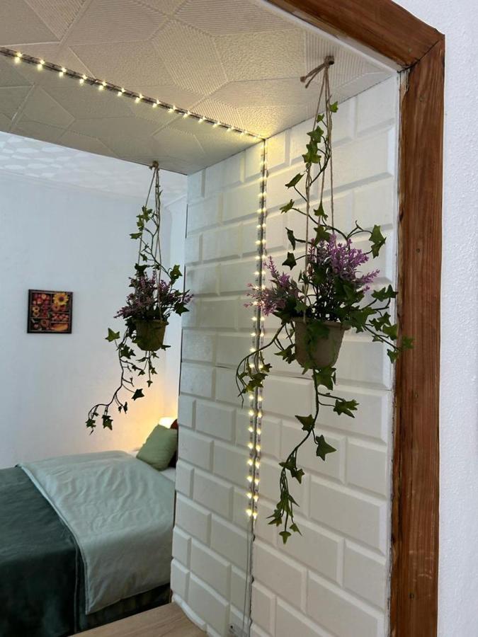 Guest House Rusu Брашов Екстер'єр фото