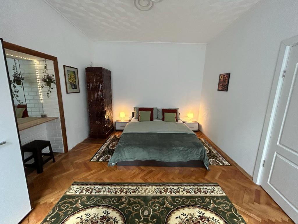 Guest House Rusu Брашов Екстер'єр фото